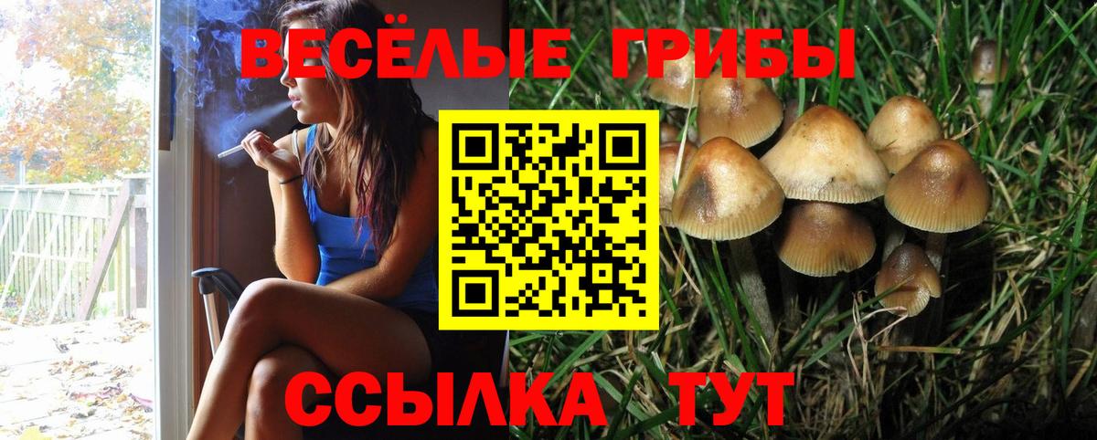 Псилоцибиновые грибы MAGIC MUSHROOMS Петропавловск-Камчатский