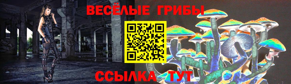 Псилоцибиновые грибы ЛСД  Вход с VPN  Петропавловск-Камчатский 